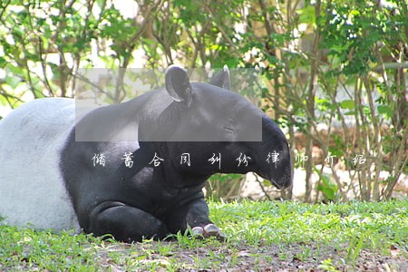 储蓄合同纠纷律师介绍 储蓄合同纠纷律师介绍