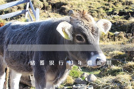储蓄银行扣年费逾期 储蓄银行扣年费逾期