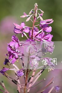 催信用卡逾期工作 催信用卡逾期工作