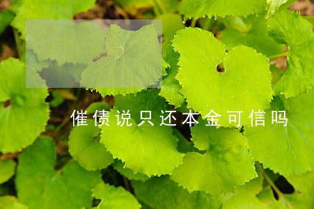 催债说只还本金可信吗 催债说只还本金可信吗