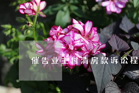 催告业主付清房款诉讼程序 催告业主付清房款诉讼程序