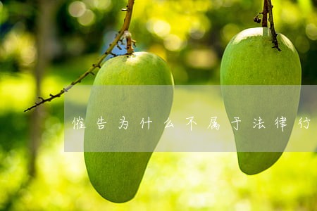 催告为什么不属于法律行为 催告为什么不属于法律行为