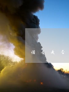 催告是否可以中止诉讼 催告是否可以中止诉讼