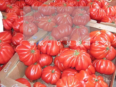 催收m0是逾期多久 催收m0是逾期多久