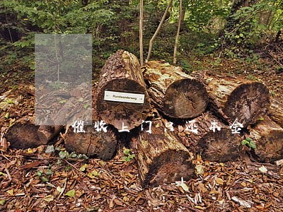 催收上门只还本金