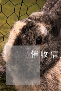 催收信用卡逾期技巧 催收信用卡逾期技巧