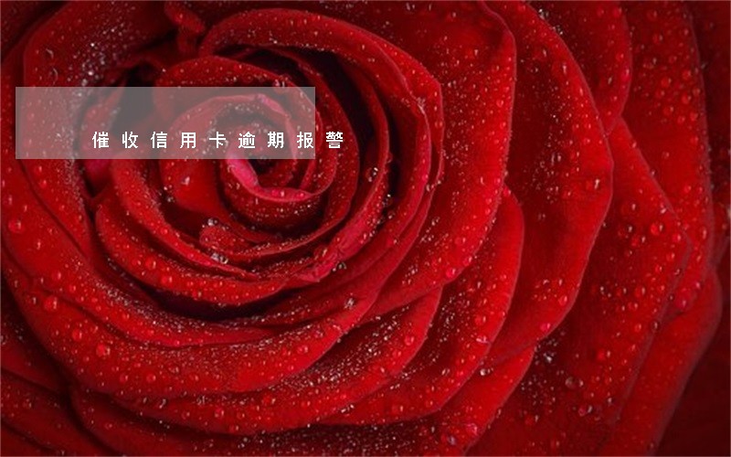 催收信用卡逾期报警