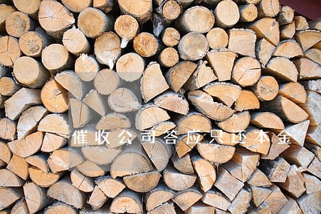 催收公司答应只还本金 催收公司答应只还本金