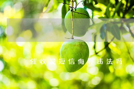 催收发短信侮辱违法吗