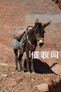催收同意只还本金 催收同意只还本金