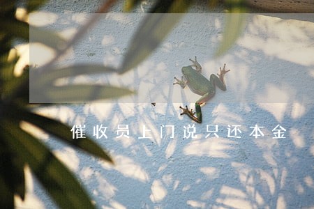 催收员上门说只还本金 催收员上门说只还本金