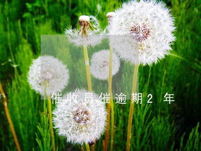催收员催逾期2年 催收员催逾期2年