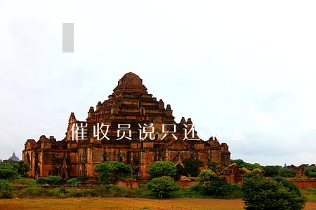 催收员说只还本金 催收员说只还本金