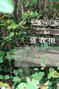 催收电话说我欠款逾期9天 催收电话说我欠款逾期9天