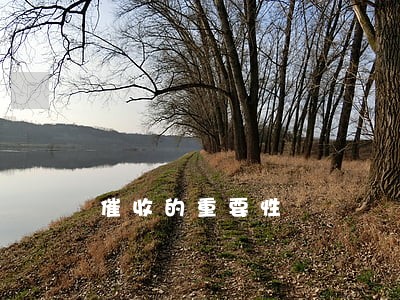 催收的重要性 催收的重要性