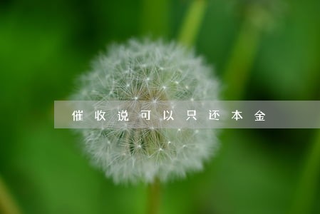 催收说可以只还本金 催收说可以只还本金