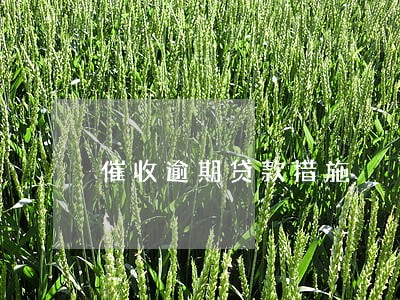 催收逾期贷款措施 催收逾期贷款措施
