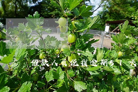 催款人员说我逾期51天