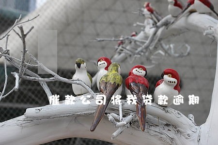 催款公司将我贷款逾期 催款公司将我贷款逾期