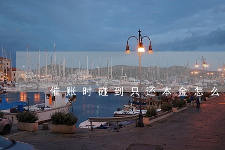 催账时碰到只还本金怎么办 催账时碰到只还本金怎么办
