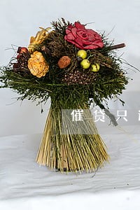 催贷只还本金 催贷只还本金