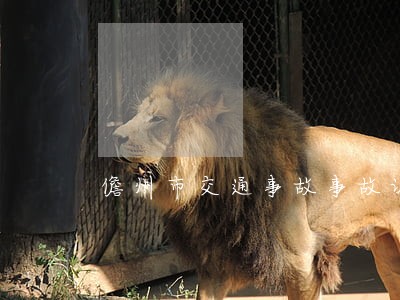 儋州市交通事故事故认定律师咨询 儋州市交通事故事故认定律师咨询