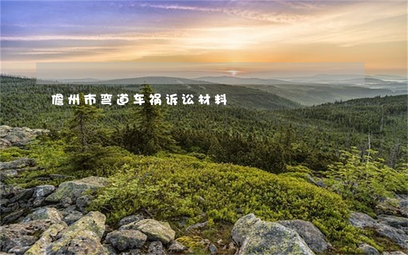 儋州市弯道车祸诉讼材料 儋州市弯道车祸诉讼材料