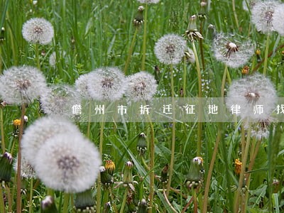 儋州市拆迁征地律师找哪个