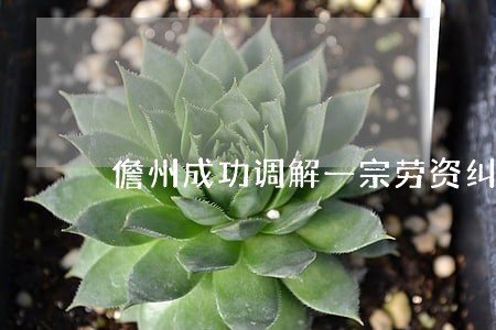 儋州成功调解一宗劳资纠纷案 儋州成功调解一宗劳资纠纷案