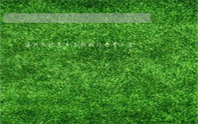 儋州法院发布首例执行悬赏公告