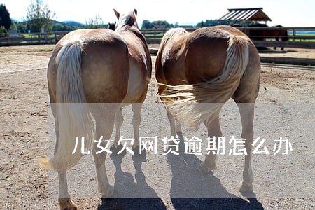 儿女欠网贷逾期怎么办 儿女欠网贷逾期怎么办