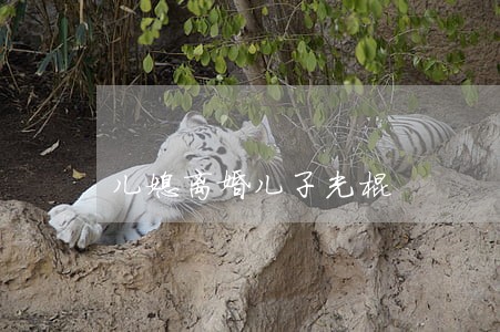 儿媳离婚儿子光棍 儿媳离婚儿子光棍