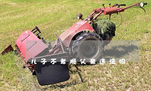 儿子不孝顺父亲违法吗