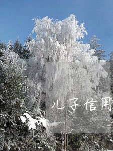 儿子信用卞逾期与父母有关吗 儿子信用卞逾期与父母有关吗