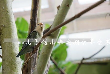 儿子信用卡逾期会不会累