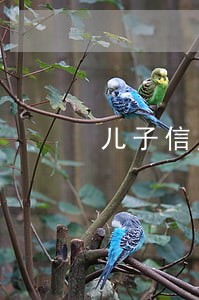 儿子信用卡逾期会影响父亲吗
