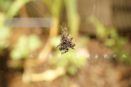 儿子信用卡逾期会执行父母财产吗 儿子信用卡逾期会执行父母财产吗