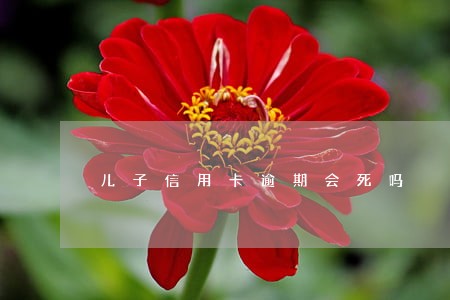 儿子信用卡逾期会死吗