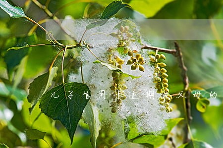 儿子信用卡逾期做父母的真不想管