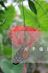 儿子信用卡逾期对父母有什么影响