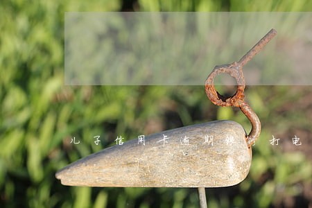 儿子信用卡逾期银行打电话给父母 儿子信用卡逾期银行打电话给父母