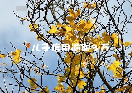 儿子信用逾期3万