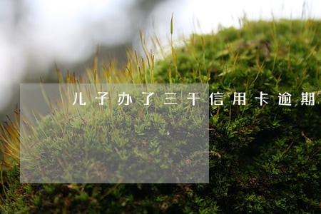 儿子办了三千信用卡逾期了怎么办