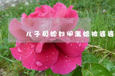 儿子和媳妇闹离婚被婆婆反对 儿子和媳妇闹离婚被婆婆反对