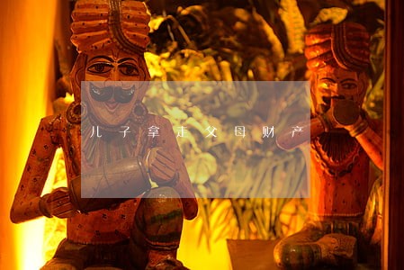 儿子拿走父母财产 儿子拿走父母财产