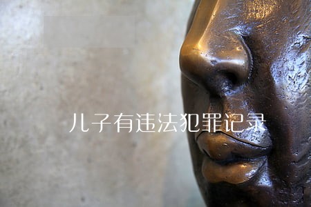 儿子有违法犯罪记录