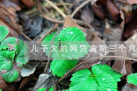 儿子欠的网贷逾期三个月了 儿子欠的网贷逾期三个月了