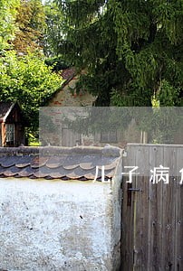 儿子病危亲爹继母为何要离婚 儿子病危亲爹继母为何要离婚