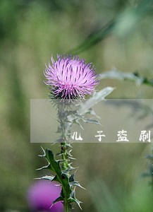 儿子盗刷妈妈的信用卡逾期 儿子盗刷妈妈的信用卡逾期