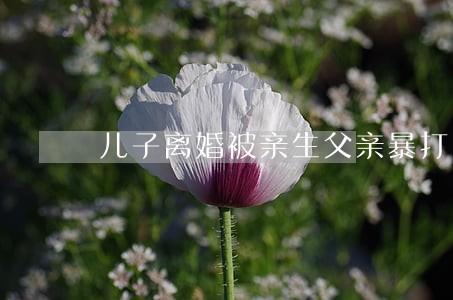 儿子离婚被亲生父亲暴打 儿子离婚被亲生父亲暴打